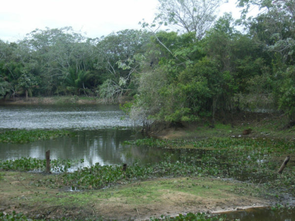 pantanal.paysa